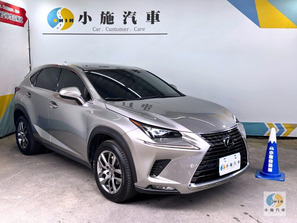 2018 Lexus NX 300豪華版 自排 棕
