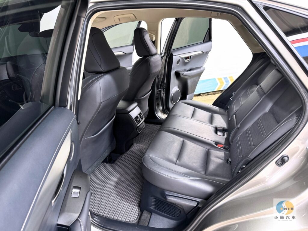 2018 Lexus NX 300豪華版 自排 棕