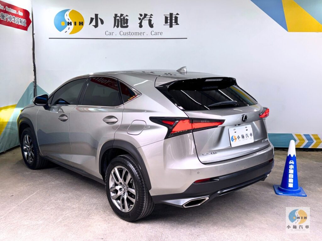 2018 Lexus NX 300豪華版 自排 棕