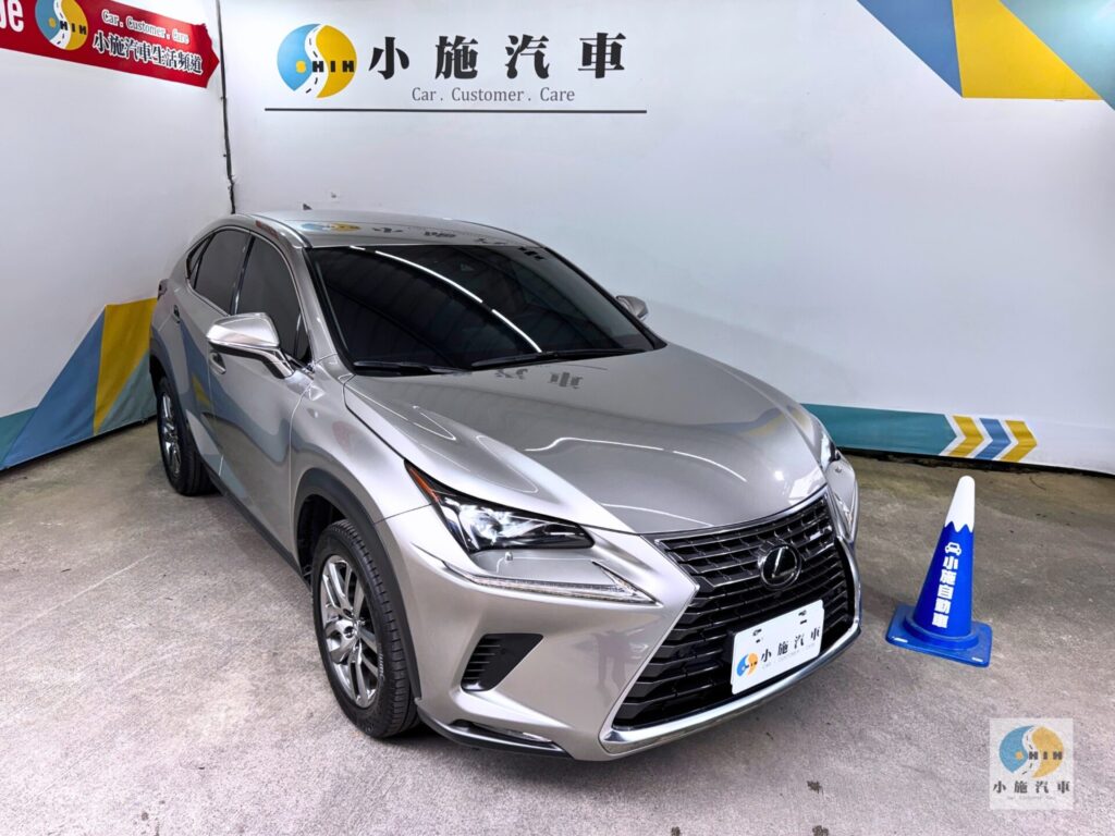 2018 Lexus NX 300豪華版 自排 棕